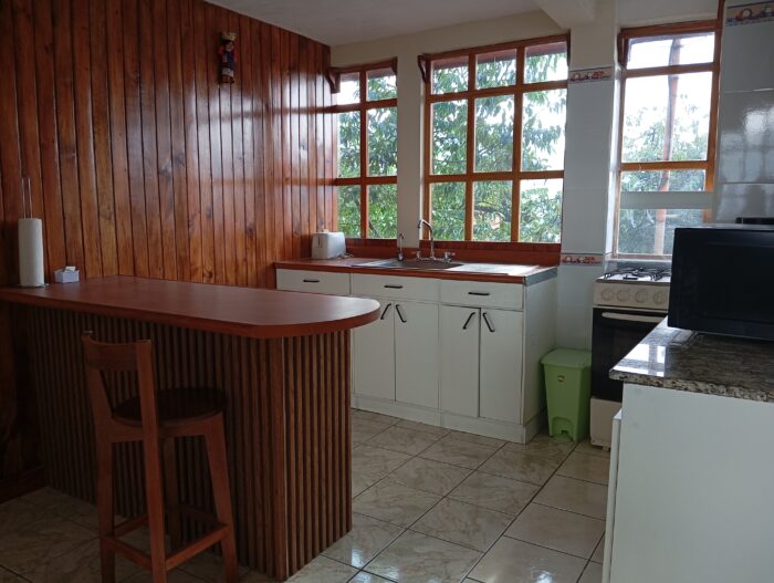 Kitchen apartment 1