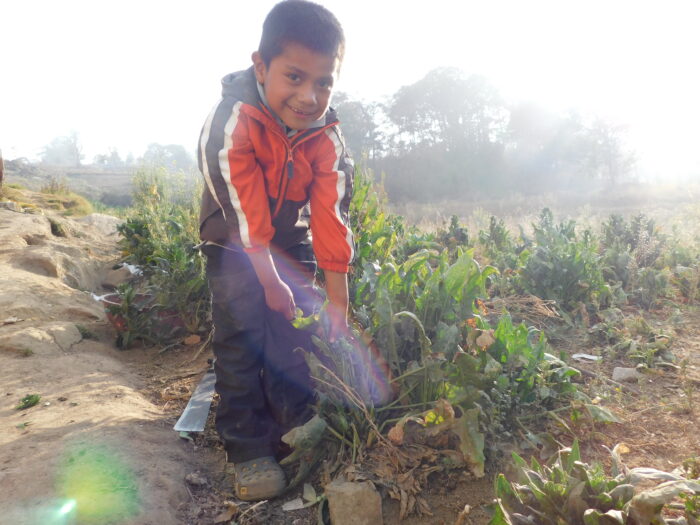 Niños ayudando a sus padres con las tareas del hogar