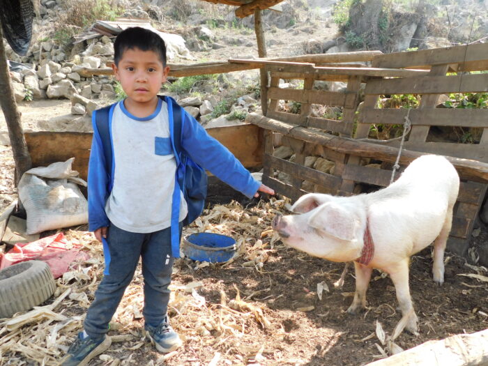 Niños ayudando a sus padres con las tareas del hogar