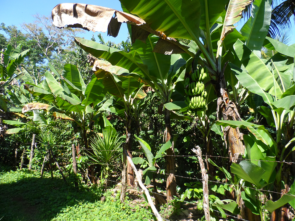 spanish-schools-guatemala-rural