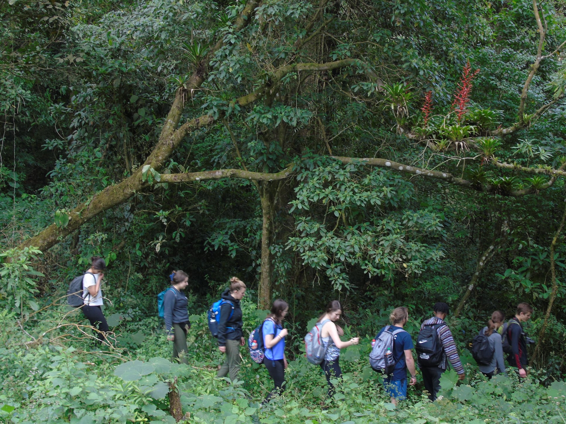 hike-quetzaltenango-santiaguito-volcano-quetzaltenango