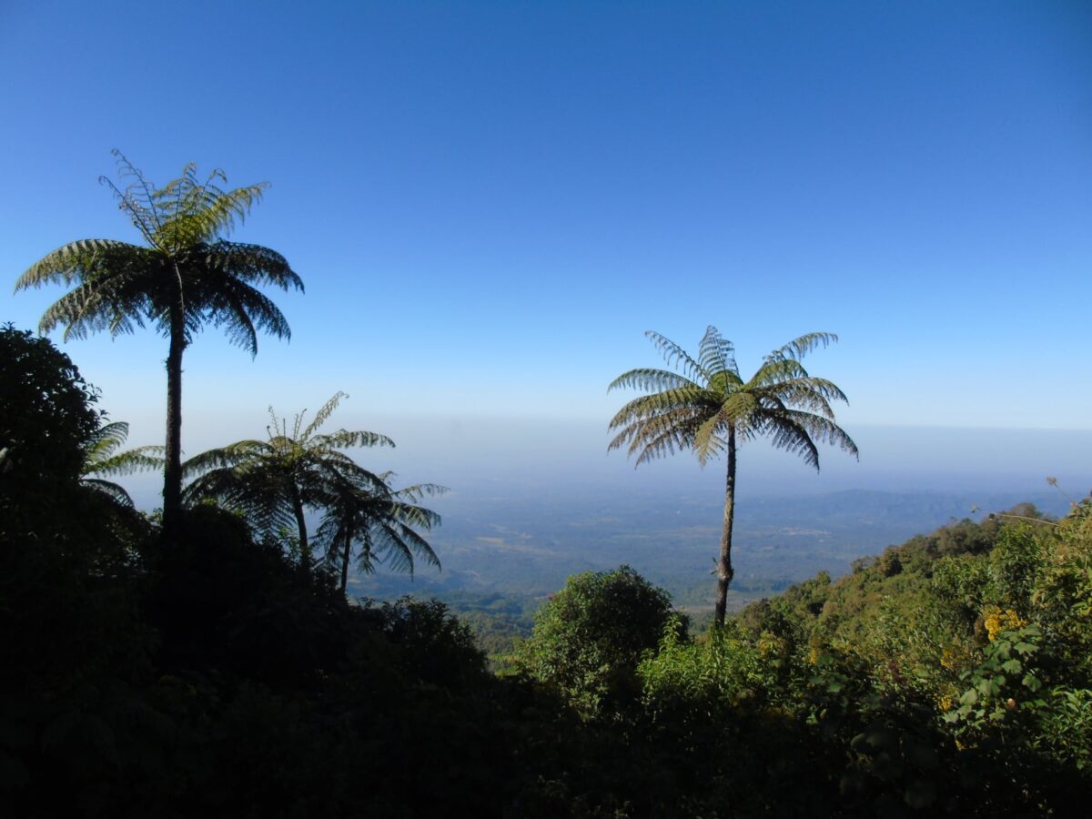 volcan-santiaguito-quetzaltenango-view-hiking