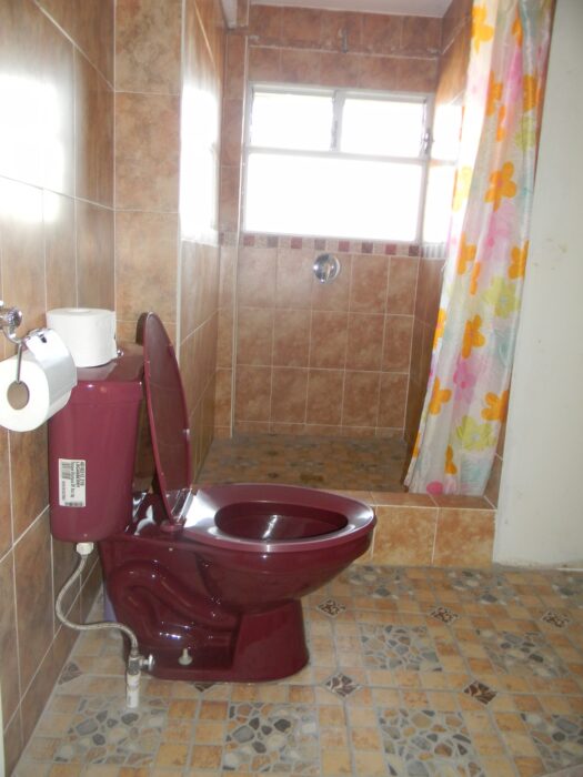 Baño y ducha, apartamento #3B